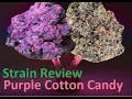 Purple Cotton Candy Strain Kush Review mars hydro