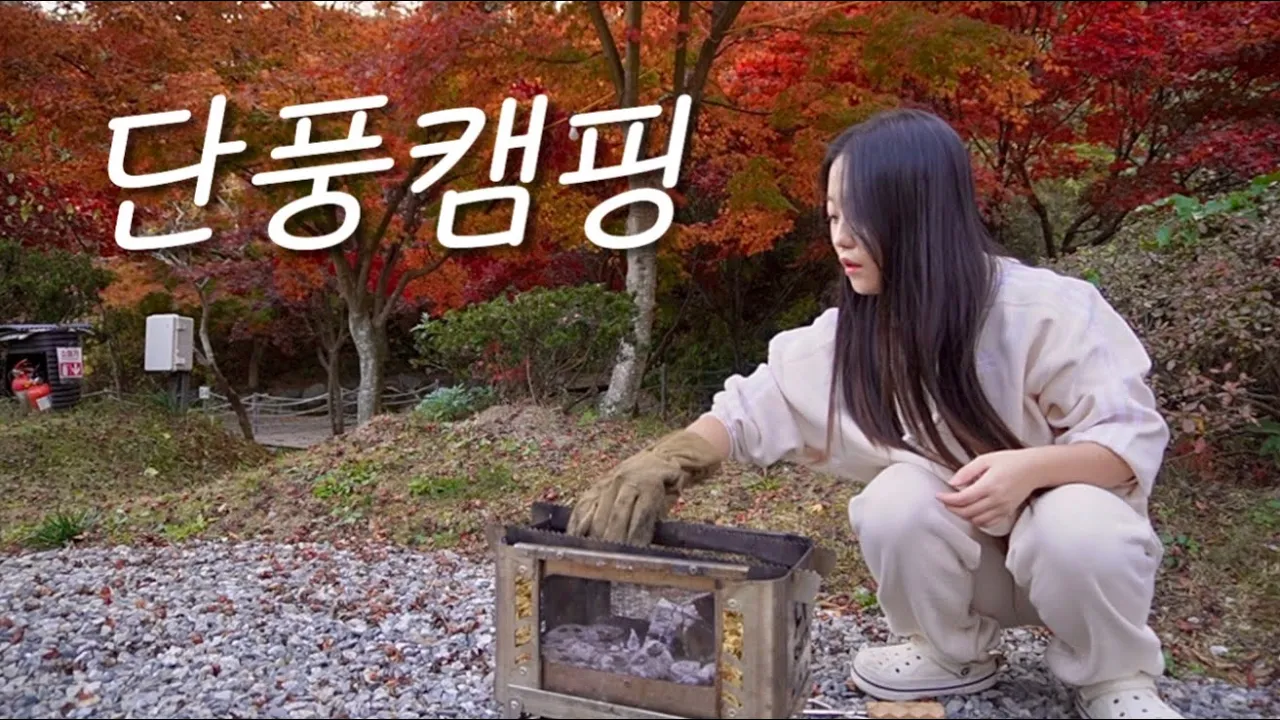 여기 단풍 맛집이였군! | 광주 근교 단풍 캠핑 | 반려견 동반 | 아이두젠 A10 max | camping | 전남 곡성 자연애품 캠핑장 썸네일