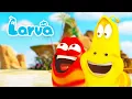 Download Lagu ISLAND ADVENTURE | LARVA | Cartoons for Kids | WildBrain Kids