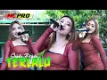 Lagu SHINTA ARSINTA // TERLALU MLENUK // NC PRO MUSIC CAKRAWALA JANDUT // LIVE GROBOGAN JATENG