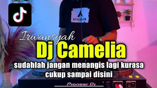 dj camelia sudahlah jangan menangis lagi kurasa cukup sampai disini tiktok full bass