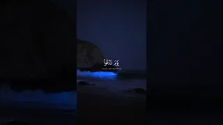 يوم ندعوا كل أناس بإمامهم بصوت القارئ الشحات محمد أنور 