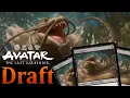 cat-gator. | Avatar: The Last Airbender Premier Draft