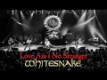 Download Lagu Whitesnake - Love Ain't No Stranger (Official Live Video 2025 Remaster) 'Access All Areas: Live'