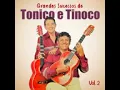 Download Lagu TONICO E TINOCO - O MENINO DA PORTEIRA