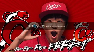 hiroshima we love carp