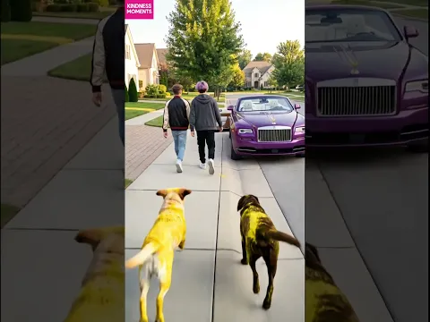 kindness dogs 🐶 turn rude teens’ luxury car into yellow karma #kindness #prankfail #shorts