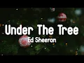 Download Lagu Ed Sheeran - Under the Tree (from “That Christmas”) (Lyrics Video)