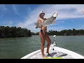 GIANT Snook on ARTIFICIAL in the EVERGLADES - Erica Lynn