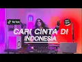 Download Lagu SAJA FT MAS IDAYU - Cari Cinta Di Indonesia (DISCO HUNTER REMIX)