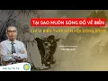 Download Lagu Tại Sao Càng Trưởng Thành Lại Càng Cô Đơn? | Thầy Trần Việt Quân | GNH Talk