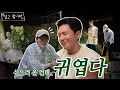 Download Lagu 호시와 금호동에 심고갑니다! 🌳 | Ep.2 (EN/JP/IN/ES)