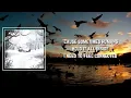 I Want A Dog Lyrics - Weezer
