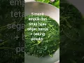 Download Lagu cukup 5 menit merebus daun singkong, empuk dan tetap hijau