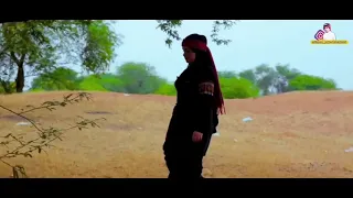 يل شايله الكاره هله يمه اوهله2020 