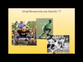 Triphasic Training Exercise Manual Ankle Rocker Part 2
