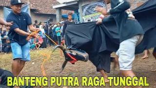 Download Bantengan Putra raga tunggal live mbendet terbaru MP3