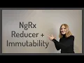 NgRx Reducer Immutability