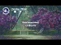 haruka - Aimer (Lyrics)