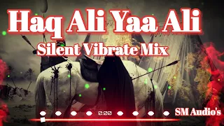 Download Haq Ali Yaa Ali Silent Vibrate Mix | Rahat Fateh Ali Khan | Haq Ali Ya Ali Dj Mix { SM Audios } MP3