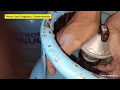 Lagu How to use regulator for Petron Gasul