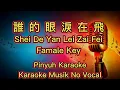 Download Lagu Shei De Yan Lei Zai Fei - 誰的眼淚在飛 - Karaoke - Musik No Vocal