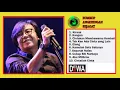 Download Lagu DEWA 19 Era ARI LASSO - 10 LAGU PILIHAN
