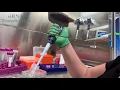 Download Lagu siRNA Transfection Video