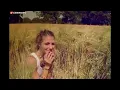 Willst du - Alligatoah