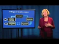 Fundamentals of Qualitative Research Methods Data Analysis Module 5