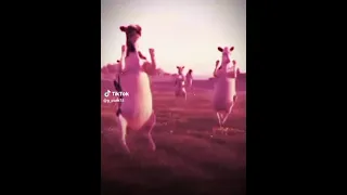 حمودي مودي مودي 