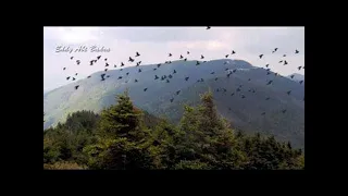 Wonderful Native American Music Flute Relaxing من اروع موسيقى الهنود الحمر هادئة تنشر السكون و الر 