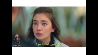 متفرضيش نفسك ع حد مبحبكيش   دندنها