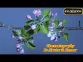 Download Lagu Mujhse Bhala Yeh Kaajal Tera | मुझसे भला ये काजल तेरा | Sadabahar Song | @KDCREATIONSinger