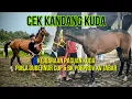 Lagu Menjelang Kejuaraan Pacuan Kuda Gubernur Cup dan BK Porprov Jabar | Cek Kandang