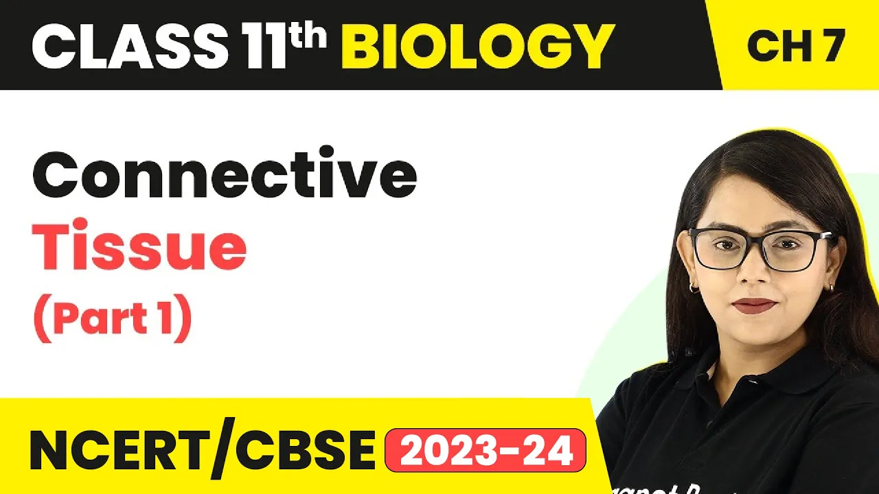 Connective Tissue Class 11 | Structural Organisation In Animals | Class 11 Biology (Part -1)