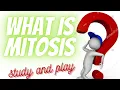 fun mitosis games control of the cell cycle cell cycle interactive mitosis amoeba sisters