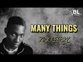 Zinoleesky - Many Things(Lyrics)You don't need no interception you're perfect cos of ur imperfection