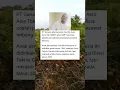 Download Lagu Jabat Posisi Wamen, Giring Ganesha Kini Ditunjuk Jadi Komisaris Anak Usaha Garuda #artist