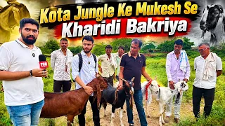 Kota Empire Ne Kharidi Kota Jungle Ke Mukesh Se Bakriya