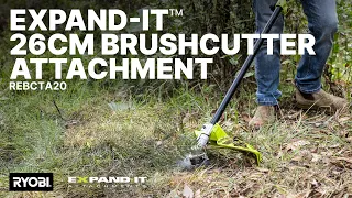 RYOBI Expand-It 26cm Brushcutter Attachment REBCTA20 in action