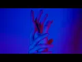 Holding On (Official Audio)