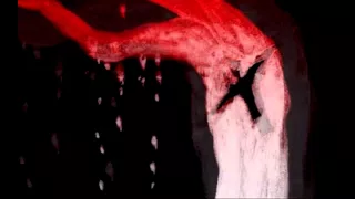 تصویر احمد رضا احمدی Babak Rajabi 