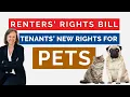 Pets Landlord guide to renters rights to keep pets