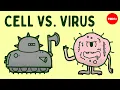 Download Lagu Cell vs. virus: A battle for health - Shannon Stiles