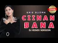 Download Lagu ERIE SUZAN - CIINAN BANA KARAOKE DJ REMIX VERSION