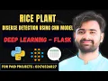Rice Plant Disease Detection Using CNN Deep Learning Final Year Project CS619