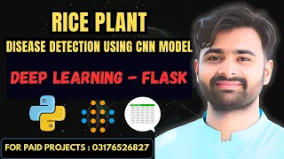 Rice Plant Disease Detection Using CNN Deep Learning Final Year Project CS619