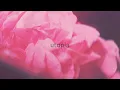 utopia (Visualiser) - Goldbæk