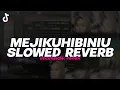 Download Lagu DJ MEJIKUHIBINIU VELOCITY SLOWED VERSION - BOOTLEG (imamsidik) SOUND FYP TIKTOK ENAKEUN 2025!!